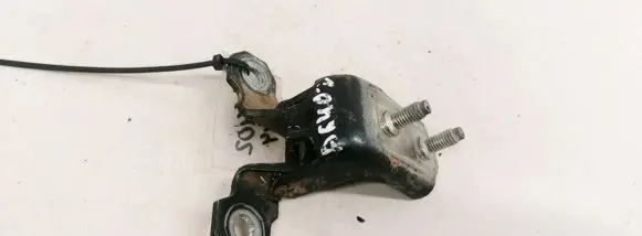 Tailgate/trunk/boot hinge
