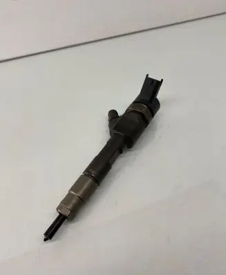 Suzuki Grand Vitara II Fuel injector 8200389369 0445110230