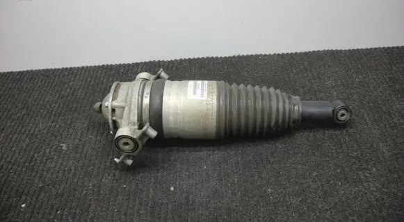 Porsche Cayenne (92A) Rear shock absorber/damper 7P5616020AB 7P5616504C