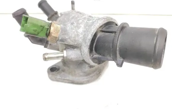 Thermostat/thermostat housing