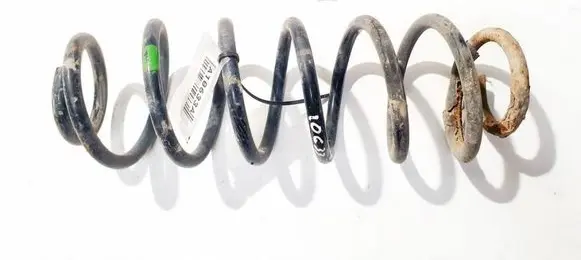 Rear coil spring
