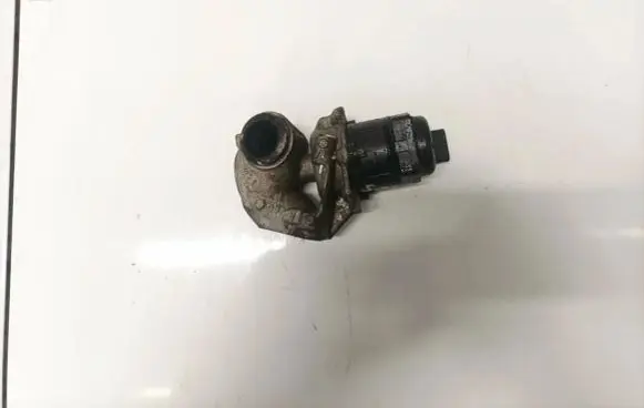 EGR valve