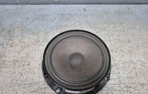 Volkswagen PASSAT B7 Rear door speaker 3C8035453