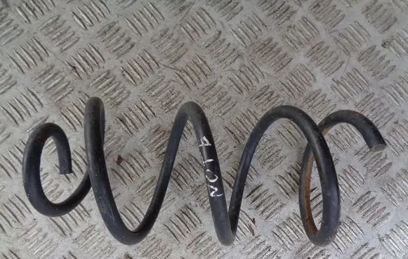 Rear coil spring