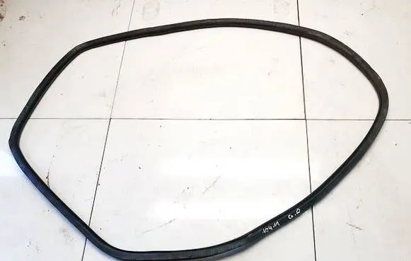 Seat Exeo (3R) Rubber seal rear door 