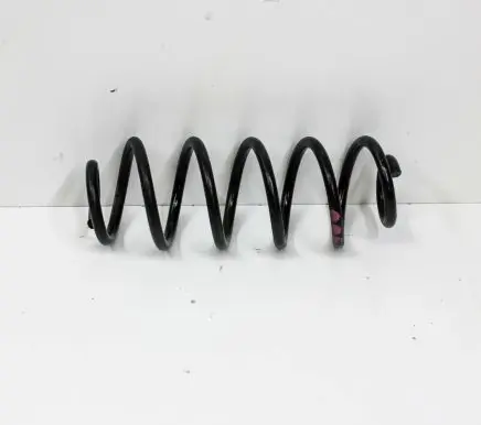 Rear coil spring