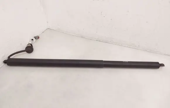 Ford Mustang Mach-E Tailgate/trunk strut/damper LJ8BR402A55AB