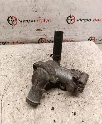 Thermostat/thermostat housing