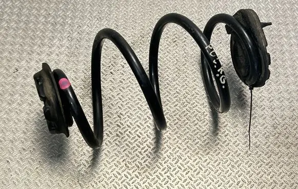 Rear coil spring