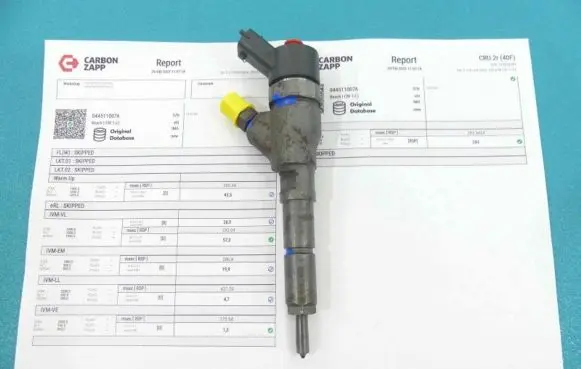 Citroen Xsara Picasso Fuel injector 0445110076 IMPRK1251762