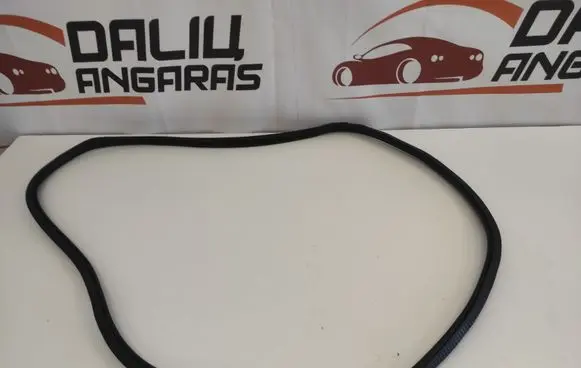 BMW 5 G30 G31 G38 Rubber seal front door (on door) 