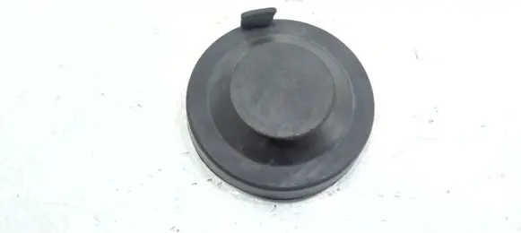 Volkswagen PASSAT CC Headlight/headlamp dust cover 02127