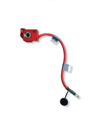 BMW 3 E90 E91 Positive wiring loom 0934601