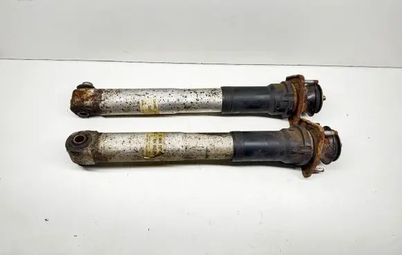 BMW 5 E39 Rear shock absorber/damper 814904557180 1094057