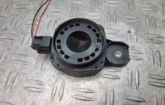 Horn signal