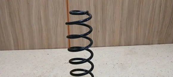 Rear coil spring