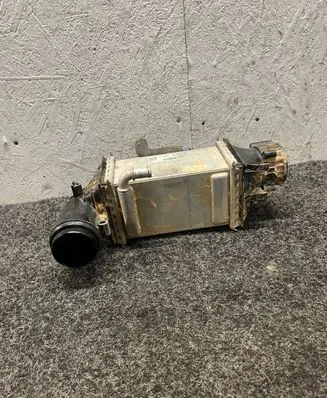 Volkswagen Tiguan Intercooler radiator 04E145785