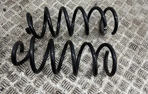 Rear coil spring