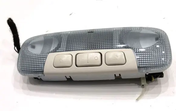 Ford Ecosport Headlining lighting console trim