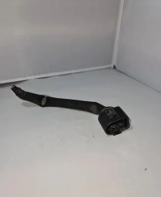 Porsche Cayenne (92A) Other wiring loom 1J0973752
