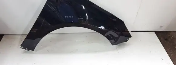 Ford Focus Fender