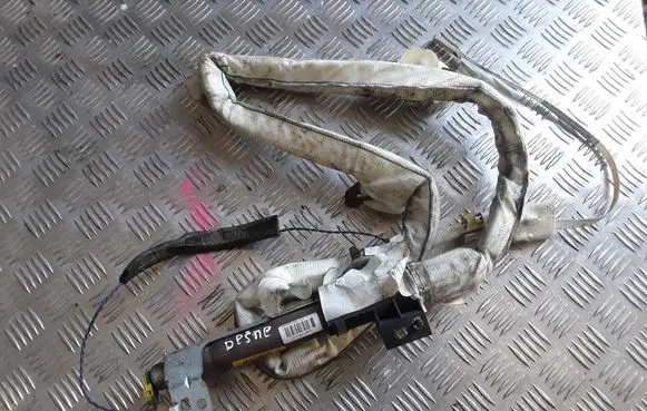 Renault Scenic I Roof airbag 8200281223