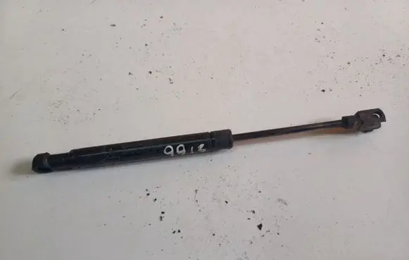 Tailgate/trunk strut/damper