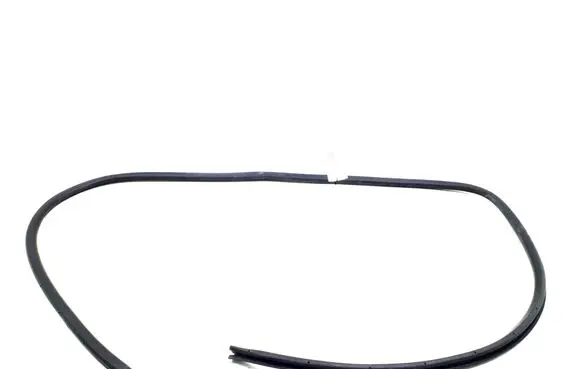 Rear door rubber seal (on body)