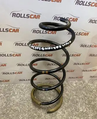 Peugeot 307 Front coil spring