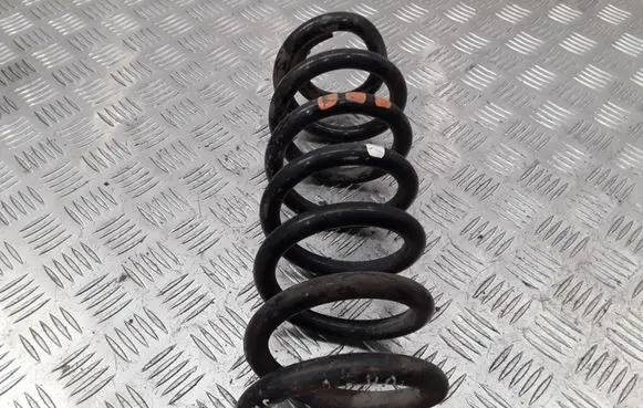 Peugeot 406 Rear coil spring