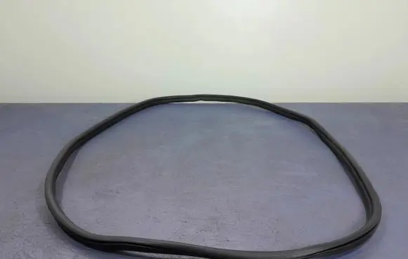 BMW M3 Front door rubber seal 7407375