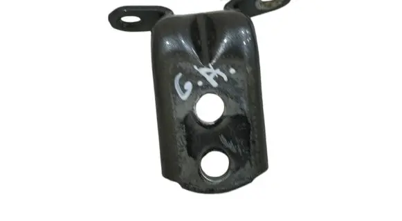 Rear door lower hinge