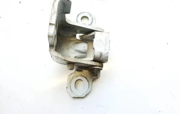 Renault Scenic III - Grand scenic III Rear door lower hinge 804010016rd