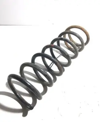 Rear coil spring