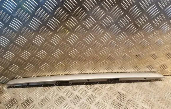 Trunk door license plate light bar