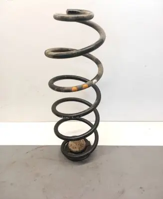 Rear coil spring