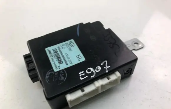 KIA Sorento Other control units/modules 954003E310