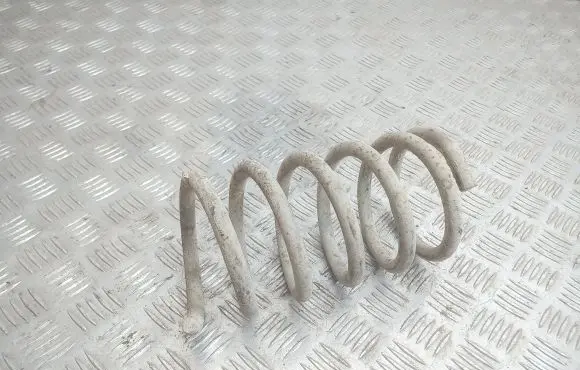 Rear coil spring