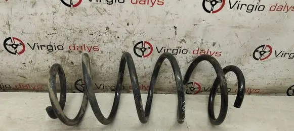 Front coil spring