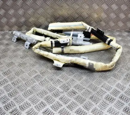 KIA Carnival Roof airbag 850104D500