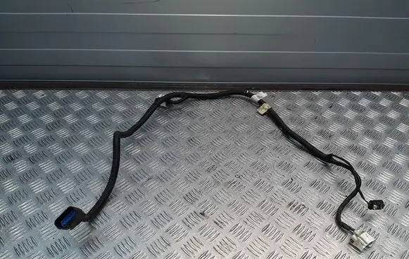 Chevrolet Camaro Other wiring loom 84107016 23463341