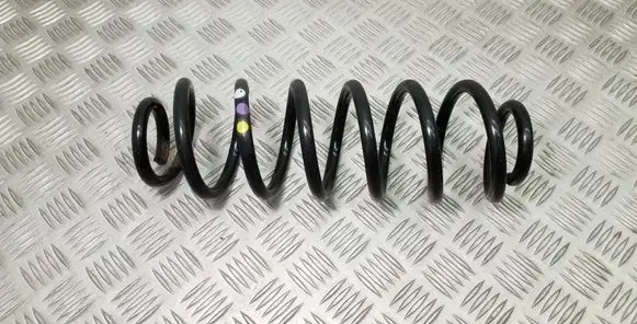 Volkswagen PASSAT B7 Rear coil spring