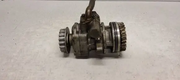Volkswagen Transporter - Caravelle T5 Power steering pump 070145249