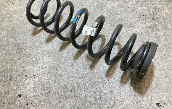 Rear coil spring