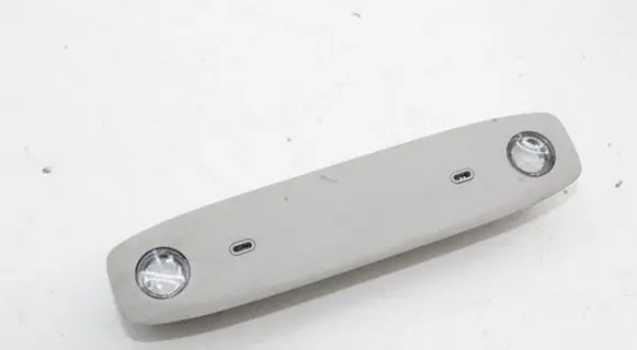 Tesla Model 3 Rear seat light 109257400C