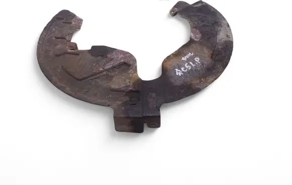 Citroen C5 Front brake disc dust cover plate 