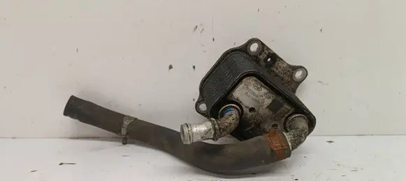 Hyundai i30 Engine oil radiator 264102U000