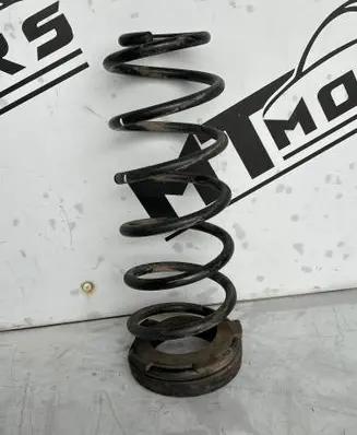 Rear coil spring