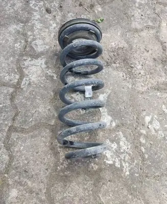 Rear coil spring