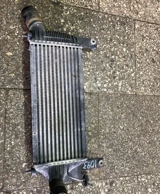 Nissan Pathfinder R51 Intercooler radiator